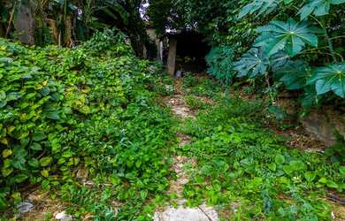 Imagem 15: PCBB 1213 Lote 601261089-426