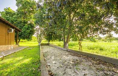 Imagem 15: ÁCDL 2599 612531046-158 - ÁCDP 2599 612531046-158