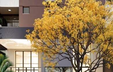 Imagem 2: APARTAMENTO RESIDENCIAL em São Paulo - SP, Parque da Mooca