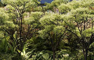 Imagem 2: Reserva Jardins, 4 dormitórios na Alameda Lorena