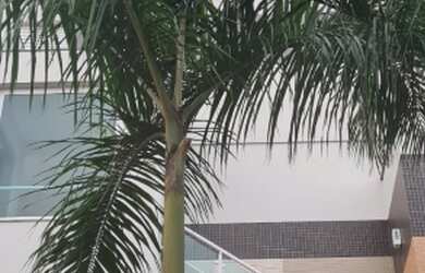 Imagem: O apartamento possui 1 Dormitório, 1 Banheiro, 2 Vagas na garagem