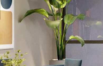 Imagem 7: APARTAMENTO RESIDENCIAL em São Paulo - SP, Freguesia do Ó