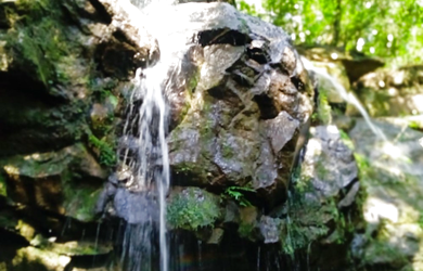 Imagem 7: CEBE 10 612511062-16 - CEBE 10 612511062-16