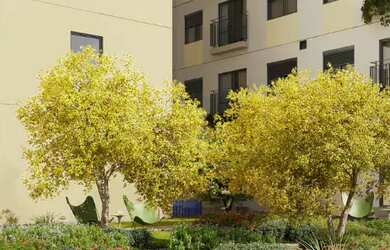 Imagem 5: APARTAMENTO RESIDENCIAL em São Paulo - SP, Campos Elíseos