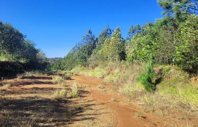 Imagem 3: na Rodovia Tapir Rocha. 