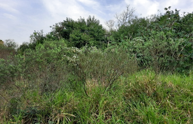 Imagem 4: na Rodovia Tapir Rocha. 