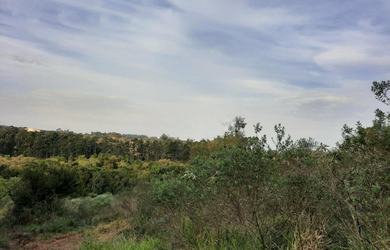 Imagem 5: na Rodovia Tapir Rocha. 