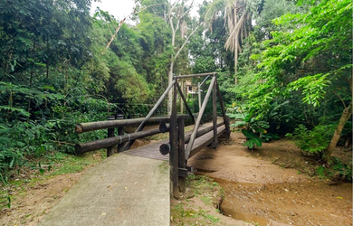 Imagem 7: na Rodovia Tapir Rocha. 