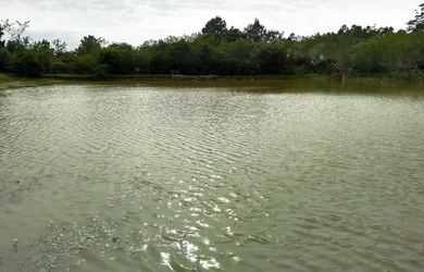 Imagem 11: na Rodovia Tapir Rocha. 