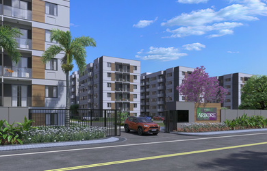 Imagem: Vitale Árbore - Fase 1