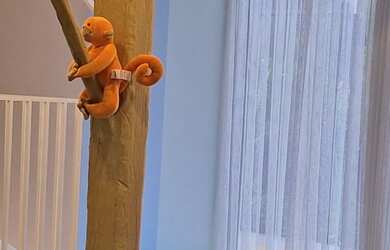 Imagem 16: Park View, 3 dormitórios, 3 suíte, 5 banheiro, 3 vagas na garagem, 175M² de Área Construíd