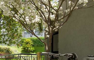 Imagem 5: APARTAMENTO RESIDENCIAL em Campinas - SP, Chácara São Domingos