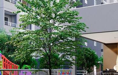 Imagem 8: Poente das Orquídeas - Fase 2 - Poente das Orquídeas - Fase 2