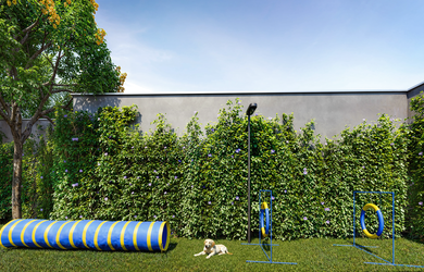 Imagem 9: The Only Moema - The Only Moema