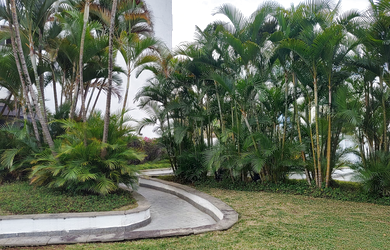 Imagem 16: MAAPF 57 Apto AP0082_EHG