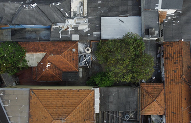Imagem 14: CASA RESIDENCIAL em São Paulo - SP, Quinta da Paineira