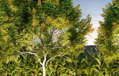 Imagem 15: Apartamento à venda em São Paulo, Vila Mariana, com 1 quarto, 25,44m²