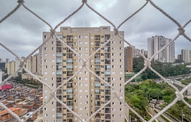 Imagem 11: VAJA 73 Apto theremaxcollection-8R3JX - Apartamento à venda no bairro...