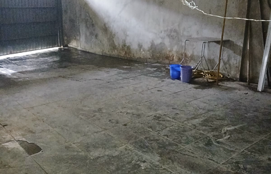 Imagem 3: Galpão à venda em São Paulo, Lauzane Paulista, 200m²