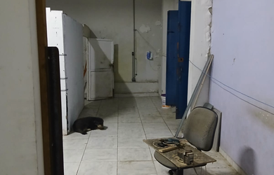 Imagem 9: Galpão à venda em São Paulo, Lauzane Paulista, 200m²