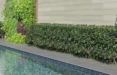 Imagem 13: Apartamento à venda em São Paulo, Vila Nova Conceição, com 3 quartos, 160m²