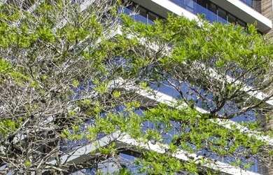 Imagem 3: Sala à venda no bairro Tristeza - Porto Alegre/RS