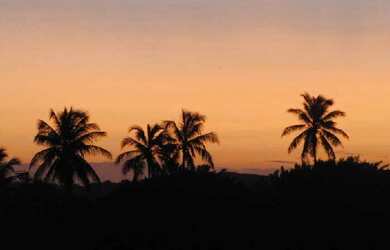 Imagem: A casa possui 12 Dormitórios, 5 Suítes, 1 Banheiro, 10m²