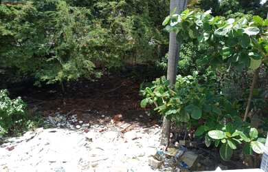 Imagem: O terreno possui 600m² de Área e está localizado em Jardim