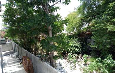 Imagem 5: Vendo troco por área Terreno 20 X 30 rua jornalista Edson régis, 790...