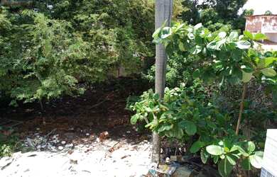 Imagem 7: Vendo troco por área Terreno 20 X 30 rua jornalista Edson régis, 790...