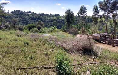 Imagem 6: Chácara com casa 100% aproveitável rica em água Residencial São Marcos