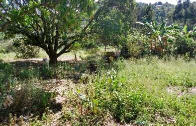 Imagem 9: Chácara com casa 100% aproveitável rica em água Residencial São Marcos