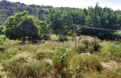 Imagem 11: Chácara com casa 100% aproveitável rica em água Residencial São Marcos