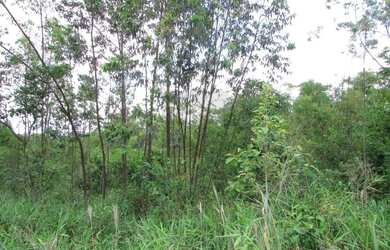 Imagem: O terreno possui 2040m² de Área e está localizado em Terras