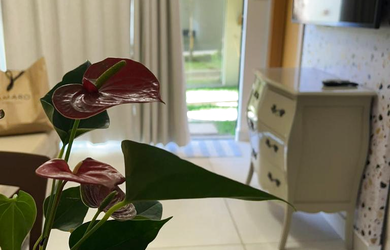 Imagem 4: Imbassaí, Village Para Venda, 01 Quarto, Mobiliado, 48m2, Mata de São...