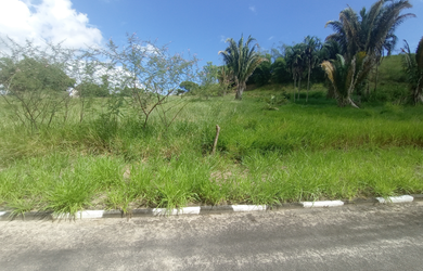 Imagem 10: Terreno na Fazenda Real, 1.000 m² plano, primeira etapa, no alto
