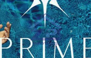 Imagem: O terreno possui 325m² de Área, Imóvel novo e está localizado