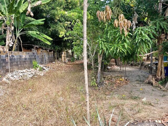 Imagem: A chácara possui 2.909m² de Área e está localizado em Maiobinha