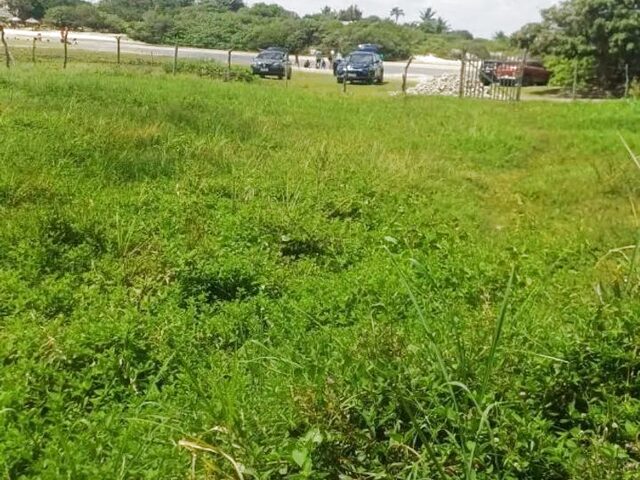 Imagem: A chácara possui 3 Dormitórios, 1 Suíte, 6.201m² de Área